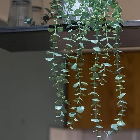 1 Gallo Lot 2 - Mezzanine En Plein Coeur Du Vieux Nice